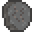 Worm Fossil